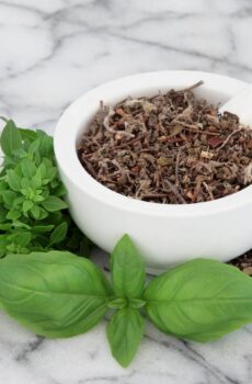 Albahaca